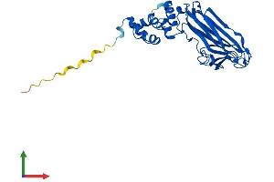 AlphaFold protein structure predicition of Mouse Recombinant Fbxo27 Protein, UniprotID Q6DIA9
