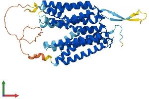 AlphaFold protein structure predicition of Mouse Recombinant Slc52a2 Protein, UniprotID Q9D8F3