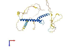 AlphaFold protein structure predicition of Mouse Recombinant Ptf1a Protein, UniprotID Q9QX98