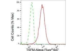 Flow cytometric analysis of TSFM expression in HeLa cells using TSFM antibody (ABIN7800656), 1:2,000). (Recombinant TSFM anticorps)