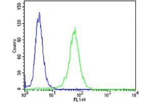 Flow cytometric analysis of NIH-3T3 cells using NTRK3 Antibody (Center)(green, Cat(ABIN6243920 and ABIN6577806)) compared to an isotype control of rabbit IgG(blue).