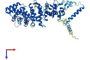 AlphaFold protein structure predicition of Human Recombinant RIC8A Protein, UniprotID Q9NPQ8