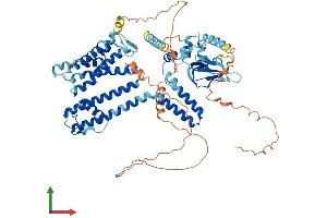 AlphaFold protein structure predicition of Mouse Recombinant Cngb3 Protein, UniprotID Q9JJZ9