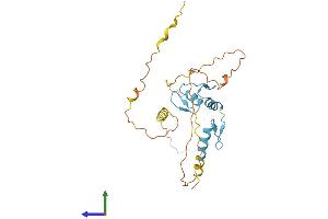 AlphaFold protein structure predicition of Mouse Recombinant Osr1 Protein, UniprotID Q9WVG7