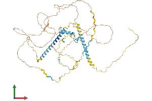 AlphaFold protein structure predicition of Mouse Recombinant Fip1l1 Protein, UniprotID Q9D824