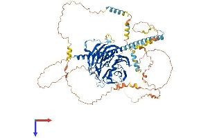AlphaFold protein structure predicition of Human Recombinant STRN Protein, UniprotID O43815