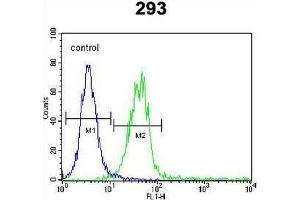 CLEC11A Antibody (Center) flow cytometric analysis of 293 cells (right histogram) compared to a negative control cell (left histogram).