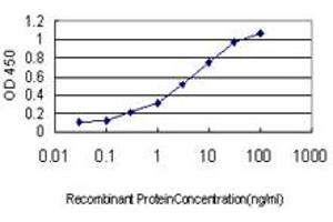 Detection limit for recombinant GST tagged MAP2K3 is approximately 0. (MAP2K3 anticorps  (AA 1-100))