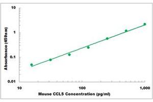 Representative Standard Curve (CCL5 Kit ELISA)