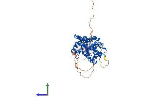 AlphaFold protein structure predicition of Human Recombinant THRB Protein, UniprotID P10828