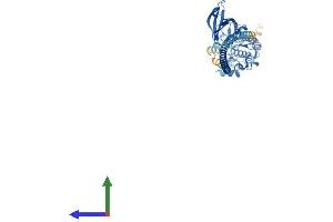 AlphaFold protein structure predicition of Human Recombinant DAPK3 Protein, UniprotID O43293