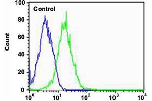 Flow cytometric analysis of HepG2 cells (green histogram) and an isotype control of mouse IgG1 (blue histogram) reacted with PPT1 monoclonal antibody  at 1:25 dilution.