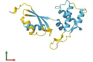 AlphaFold protein structure predicition of Human Recombinant RPL12 Protein, UniprotID P30050