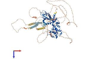 AlphaFold protein structure predicition of Human Recombinant IQSEC1 Protein, UniprotID Q6DN90