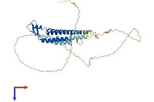 AlphaFold protein structure predicition of Mouse Recombinant Gja3 Protein, UniprotID Q64448