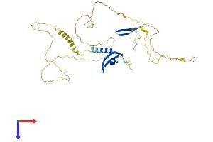 AlphaFold protein structure predicition of Mouse Recombinant Cbx8 Protein, UniprotID Q9QXV1