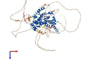 AlphaFold protein structure predicition of Human Recombinant USP6NL Protein, UniprotID Q92738
