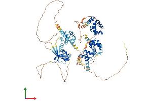 AlphaFold protein structure predicition of Human Recombinant SATB2 Protein, UniprotID Q9UPW6