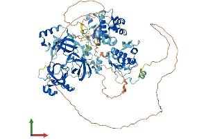 AlphaFold protein structure predicition of Mouse Recombinant Sfmbt1 Protein, UniprotID Q9JMD1
