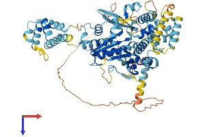 AlphaFold protein structure predicition of Human Recombinant NLRP10 Protein, UniprotID Q86W26