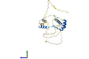 AlphaFold protein structure predicition of Human Recombinant SHOX Protein, UniprotID O15266