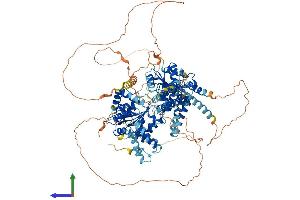 AlphaFold protein structure predicition of Mouse Recombinant Recql5 Protein, UniprotID Q8VID5