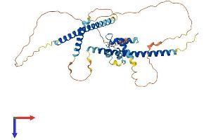 Suppressor APC Domain Containing 2 (SAPCD2) (AA 1-391) protein (His tag)