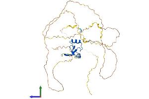 AlphaFold protein structure predicition of Mouse Recombinant Pygo1 Protein, UniprotID Q9D0P5
