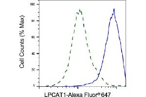 Validation of LPCAT1 knockdown using flow cytometry.