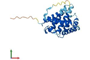 AlphaFold protein structure predicition of Human Recombinant BAX Protein, UniprotID Q07812