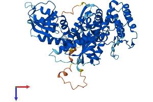 AlphaFold protein structure predicition of Human Recombinant STXBP3 Protein, UniprotID O00186