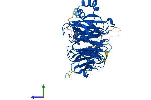 AlphaFold protein structure predicition of Mouse Recombinant Grwd1 Protein, UniprotID Q810D6