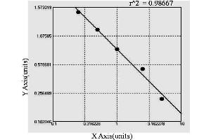 ELISA image for Anti Liver Cytosol Antibody Type 1 (LC1) ELISA Kit (ABIN993534)