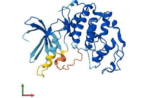 AlphaFold protein structure predicition of Human Recombinant CDK2 Protein, UniprotID P24941