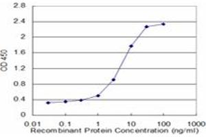 Detection limit for recombinant GST tagged UNC13D is approximately 1ng/ml as a capture antibody. (UNC13D anticorps  (AA 2-100))