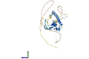 AlphaFold protein structure predicition of Human Recombinant RPH3AL Protein, UniprotID Q9UNE2