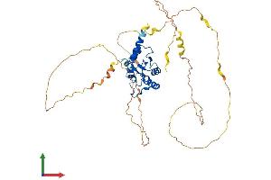 AlphaFold protein structure predicition of Human Recombinant SMAP2 Protein, UniprotID Q8WU79