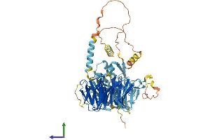 AlphaFold protein structure predicition of Mouse Recombinant Taf5l Protein, UniprotID Q91WQ5