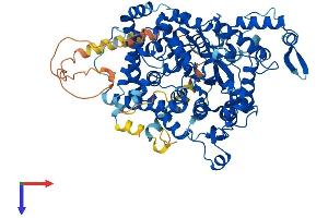 AlphaFold protein structure predicition of Mouse Recombinant Ampd3 Protein, UniprotID O08739
