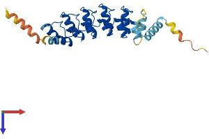 AlphaFold protein structure predicition of Human Recombinant ANKRD7 Protein, UniprotID Q92527