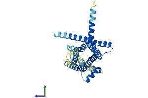 AlphaFold protein structure predicition of Mouse Recombinant Tas2r103 Protein, UniprotID Q9JKA3