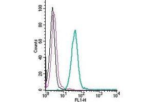 Cell surface detection of PAFR by direct flow cytometry in live intact mouse  microglia cells: + Rabbit IgG isotype control-FITC. (PTAFR anticorps  (Extracellular) (FITC))
