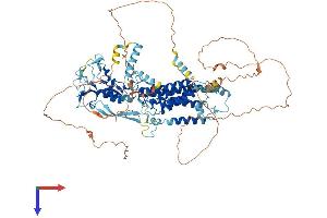 AlphaFold protein structure predicition of Human Recombinant RHBDF1 Protein, UniprotID Q96CC6
