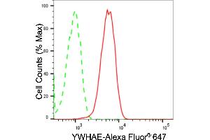 Flow cytometric analysis of YWHAE expression in HepG2 cells using YWHAE antibody (ABIN7797409), 1:2,000). (Recombinant YWHAE anticorps)