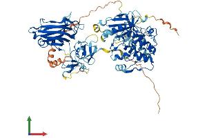 AlphaFold protein structure predicition of Human Recombinant PRKCG Protein, UniprotID P05129