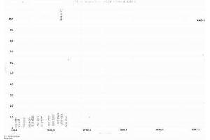 Epidermal Growth Factor (EGF) peptide (Ovalbumin)