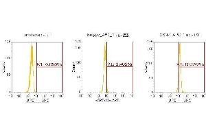 Flow Cytometry (FACS) image for anti-Casein Kinase 1, delta (CSNK1D) (AA 1-409) antibody (APC) (ABIN5565290)