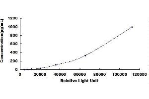 Typical standard curve
