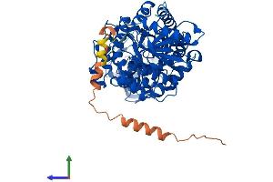 AlphaFold protein structure predicition of Mouse Recombinant Pklr Protein, UniprotID P53657