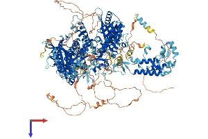 AlphaFold protein structure predicition of Mouse Recombinant Pola1 Protein, UniprotID P33609